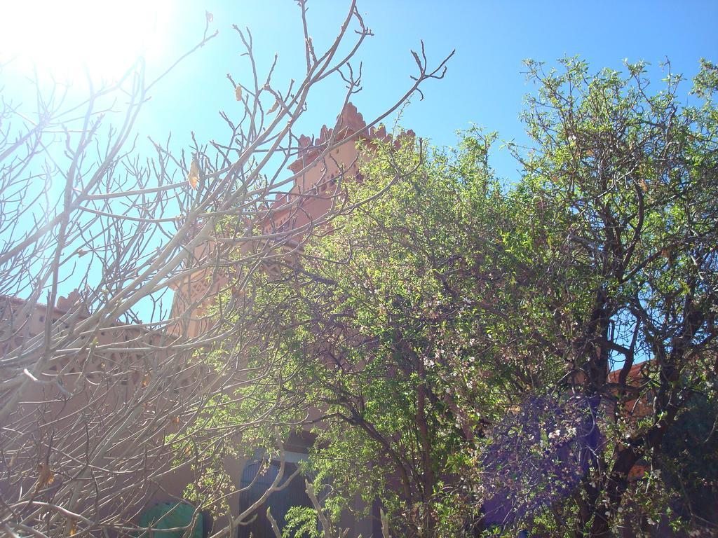 Готель Kasbah Ait Kassi Boumalne Dades Екстер'єр фото